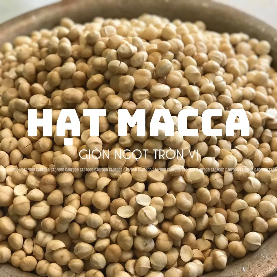 Hạt Macca sấy nứt vỏ Đắk Lắk